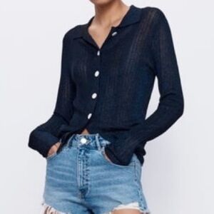 Zara button down sheer top